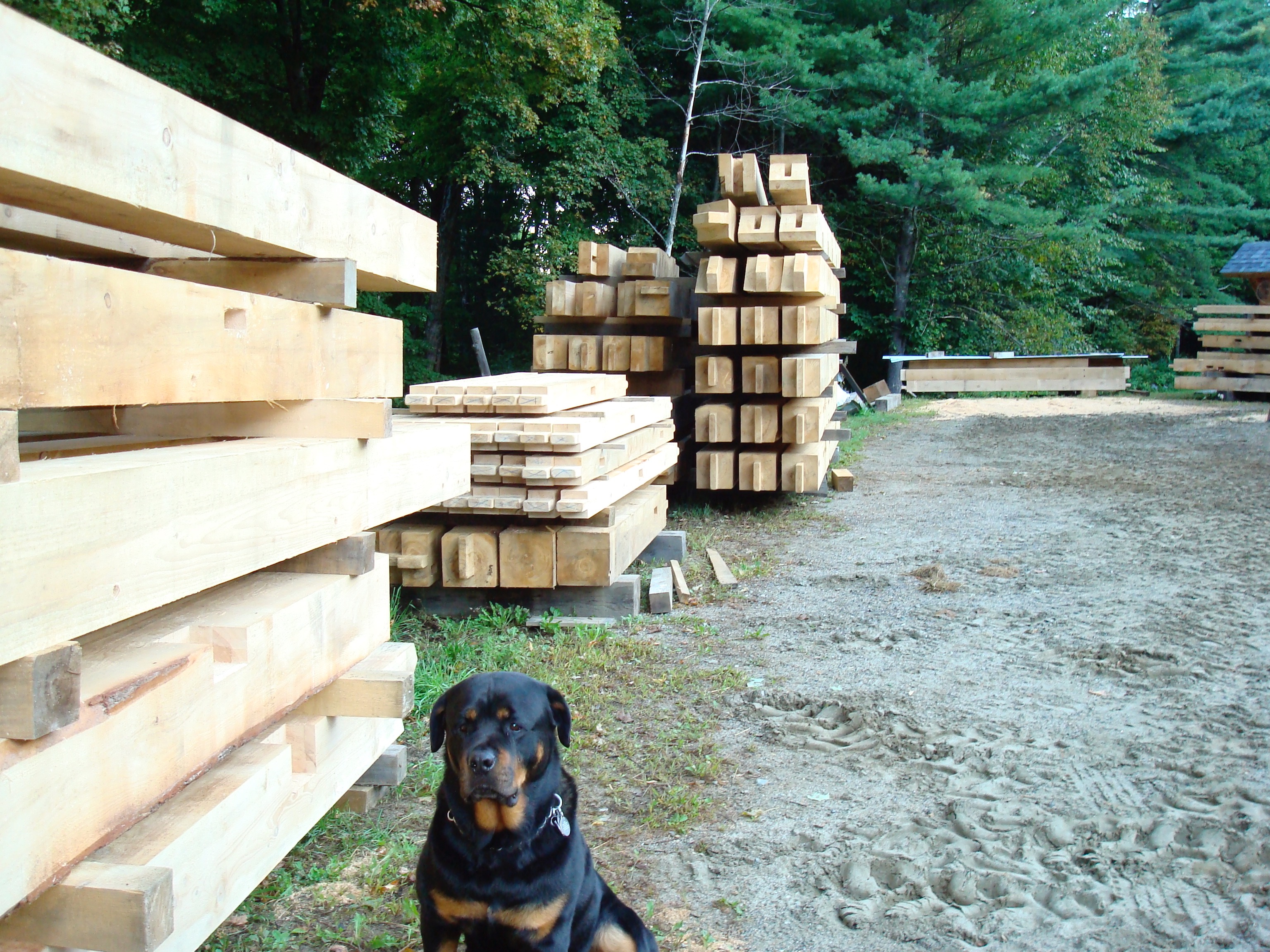 Timber Frame, Bristol, VT